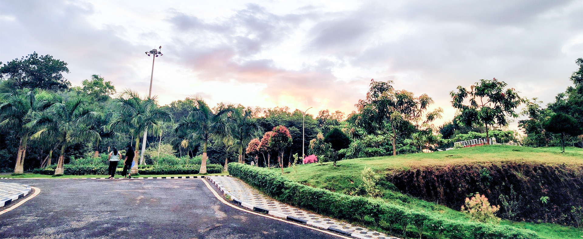 A breathtaking Sunset over lush Greenery!