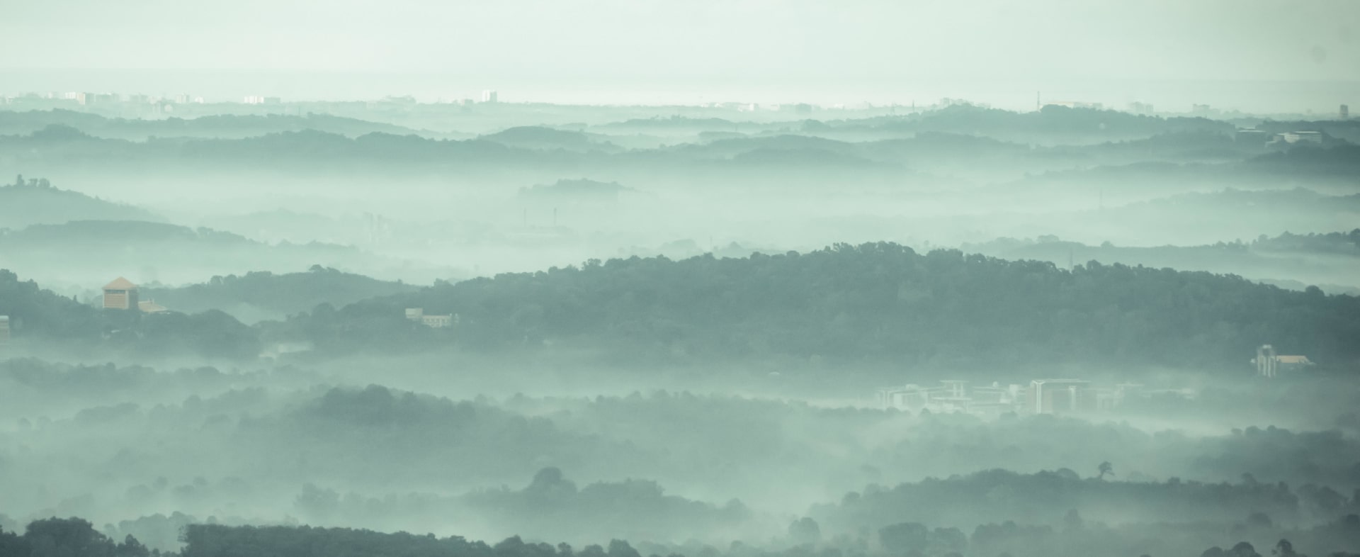 Amid the mists and fog, brilliance brews quietly.