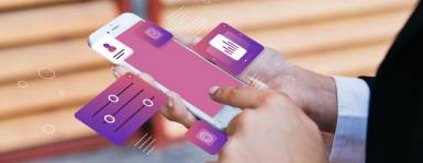 Fee Payment portals