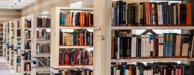 Library/OPAC