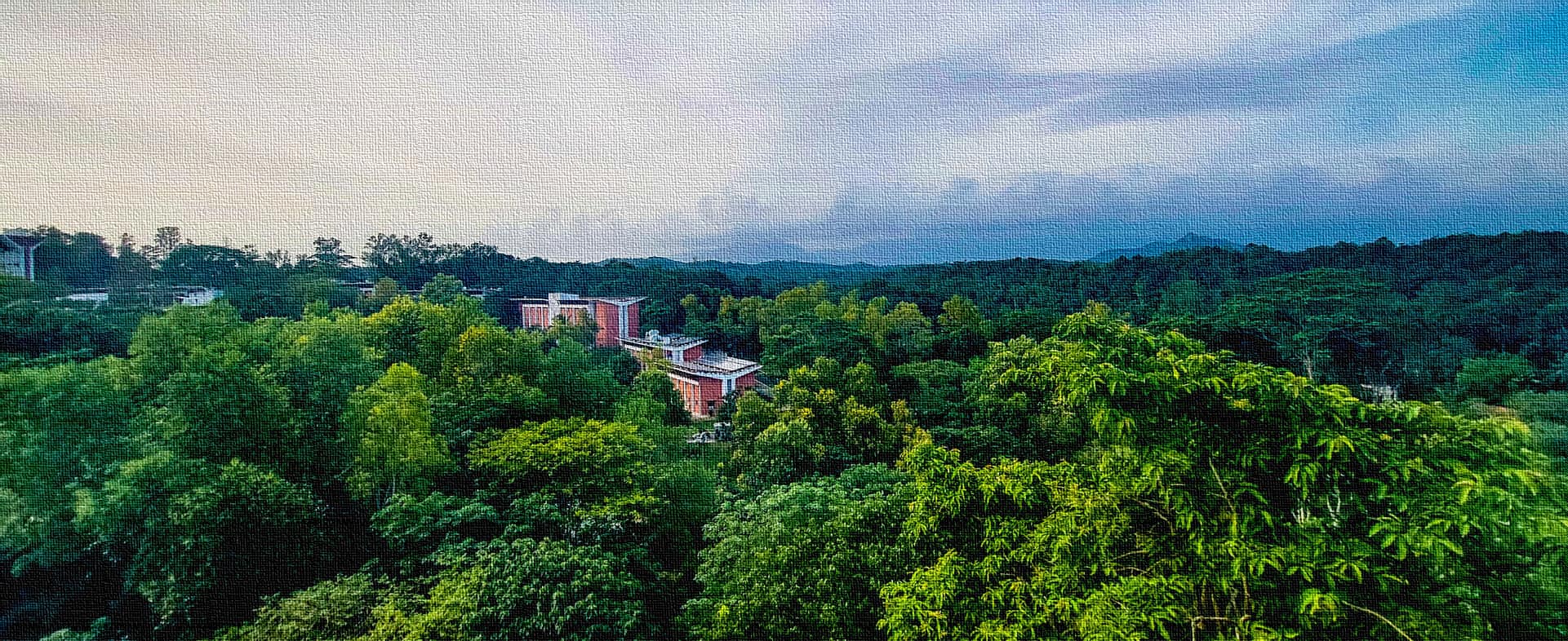 A serene setting where intellect blooms.